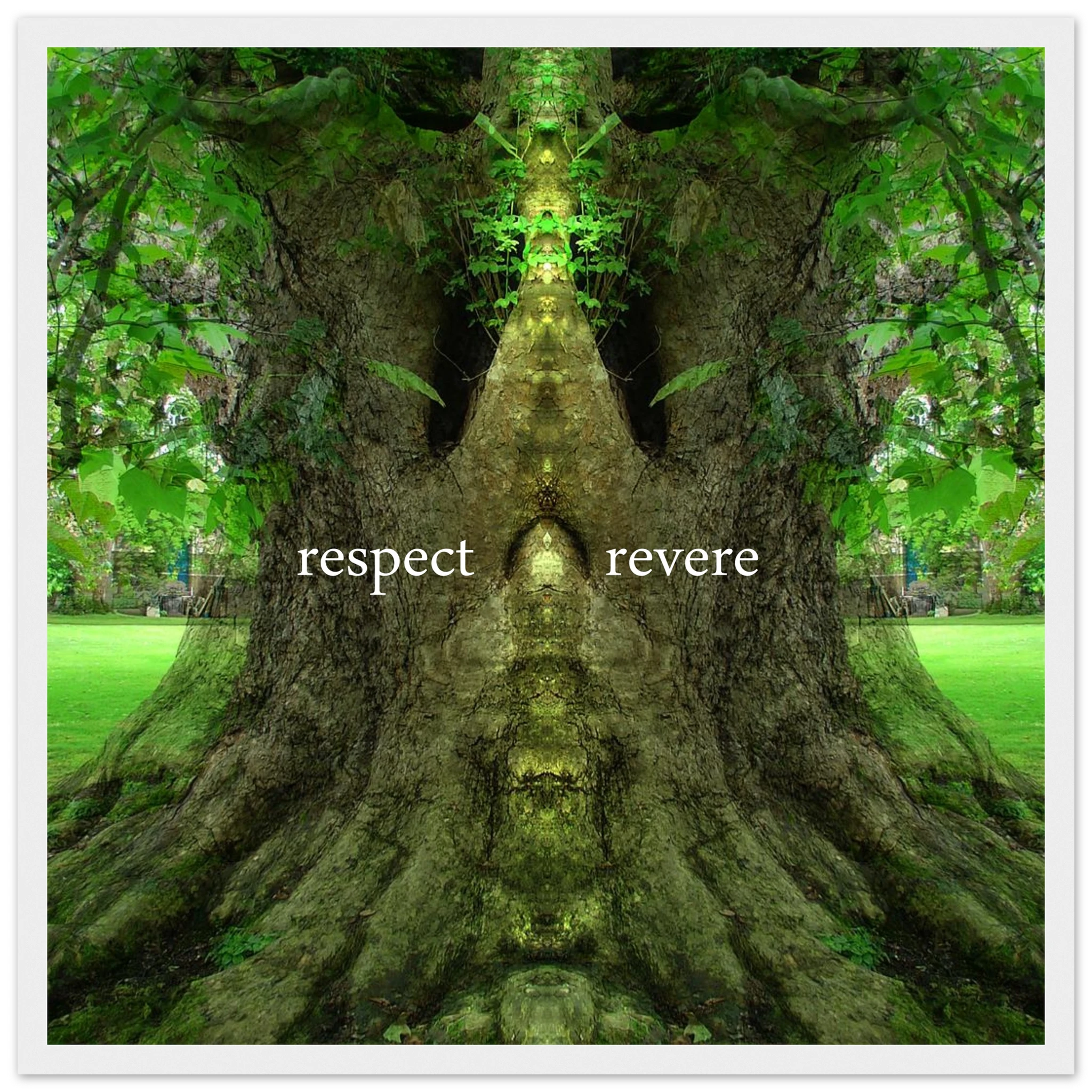 00b5ded2-a284-4ec0-8f8d-89ecd958f42f