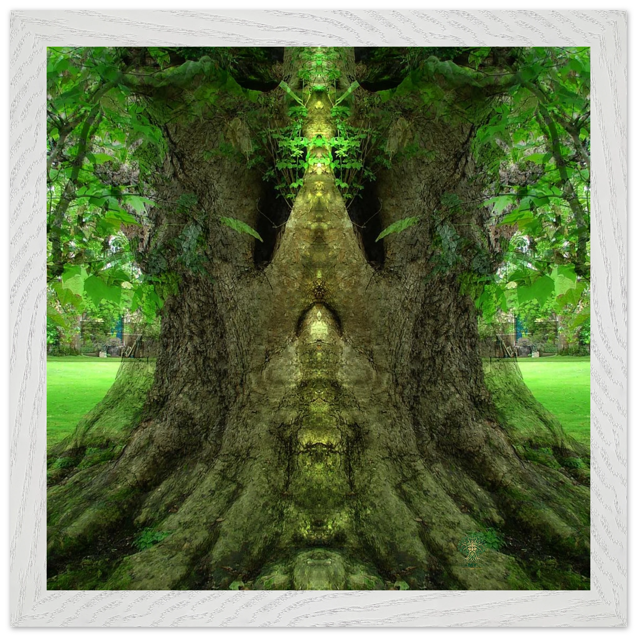 0ebd5c13-f03e-4718-854a-28f7912e6dcc