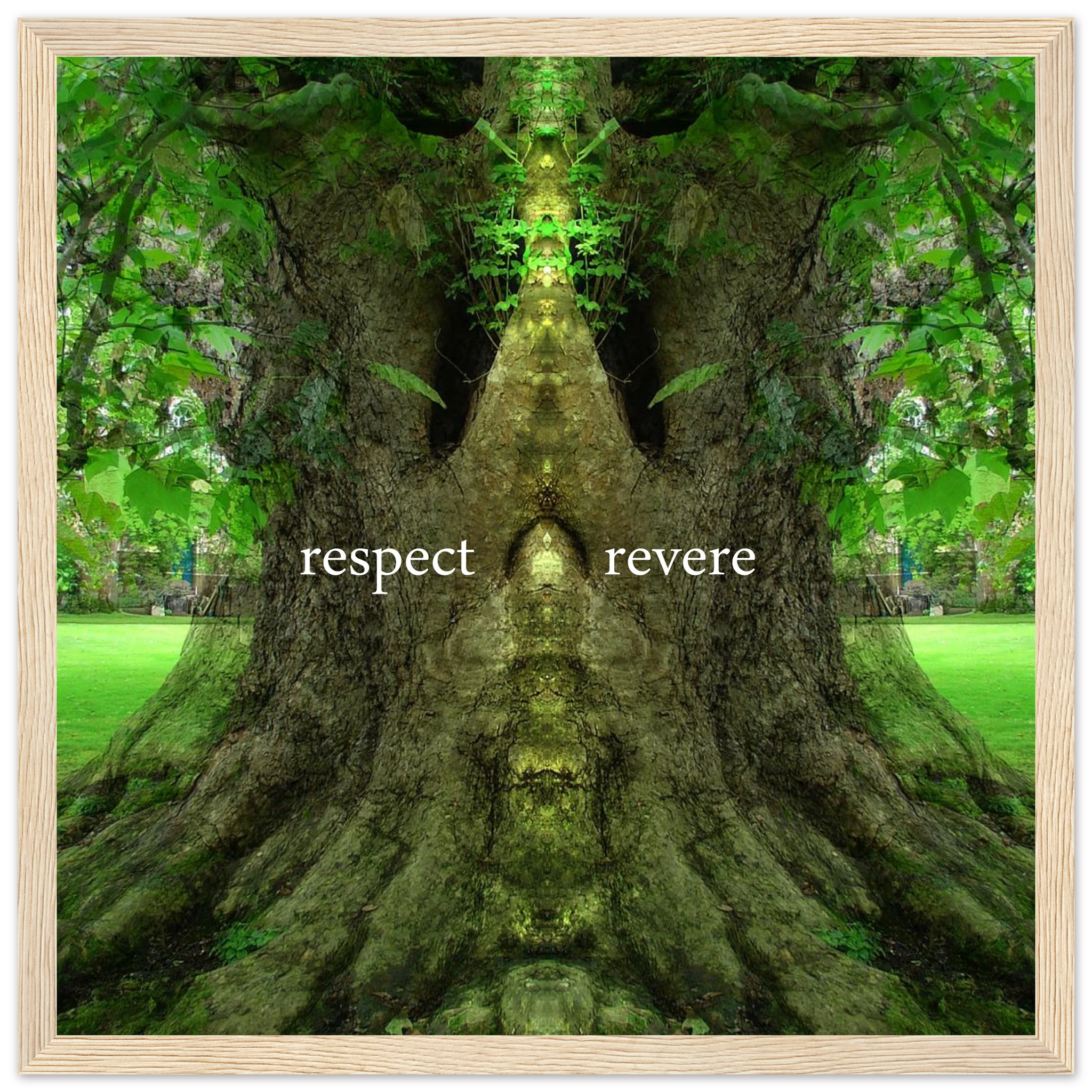 1355a82b-8ecb-4ce8-a26d-b8185735ba51