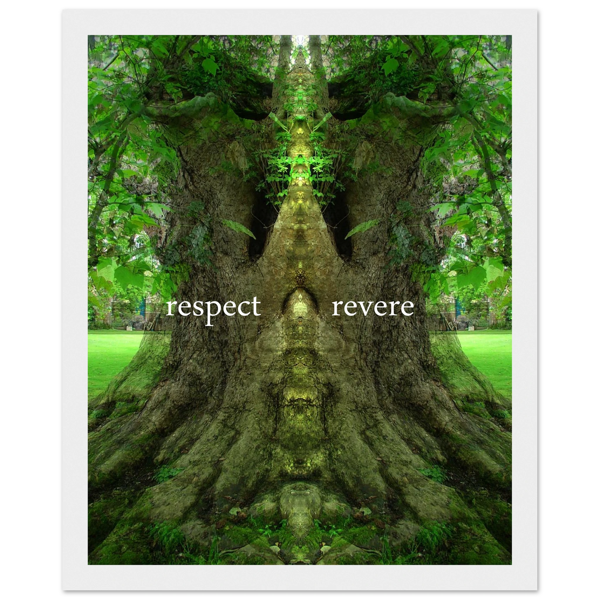 1532f67c-5e30-4ab8-9f45-ddf6173d4fc6
