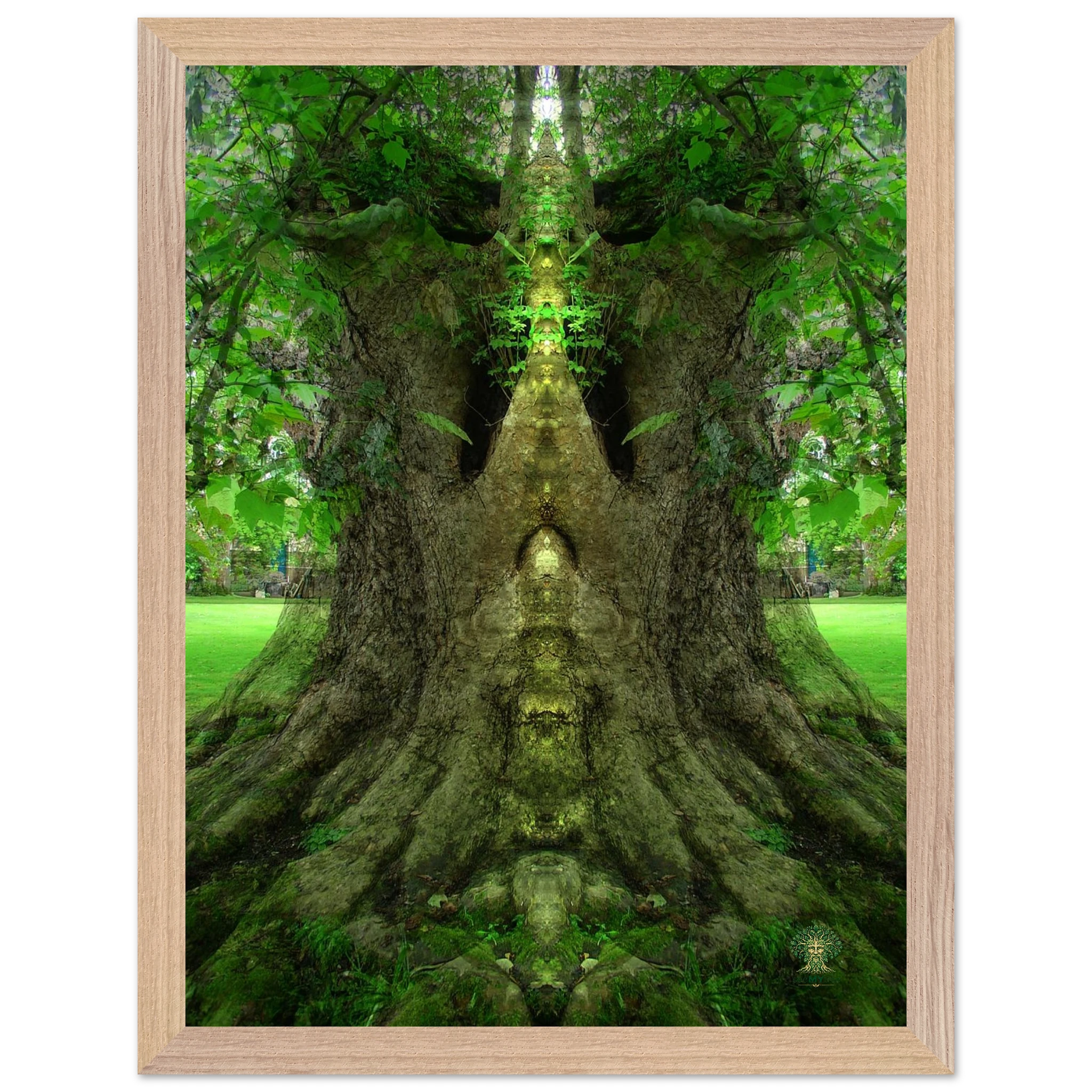 2e843c07-f51c-4498-afc8-ea4224b30317