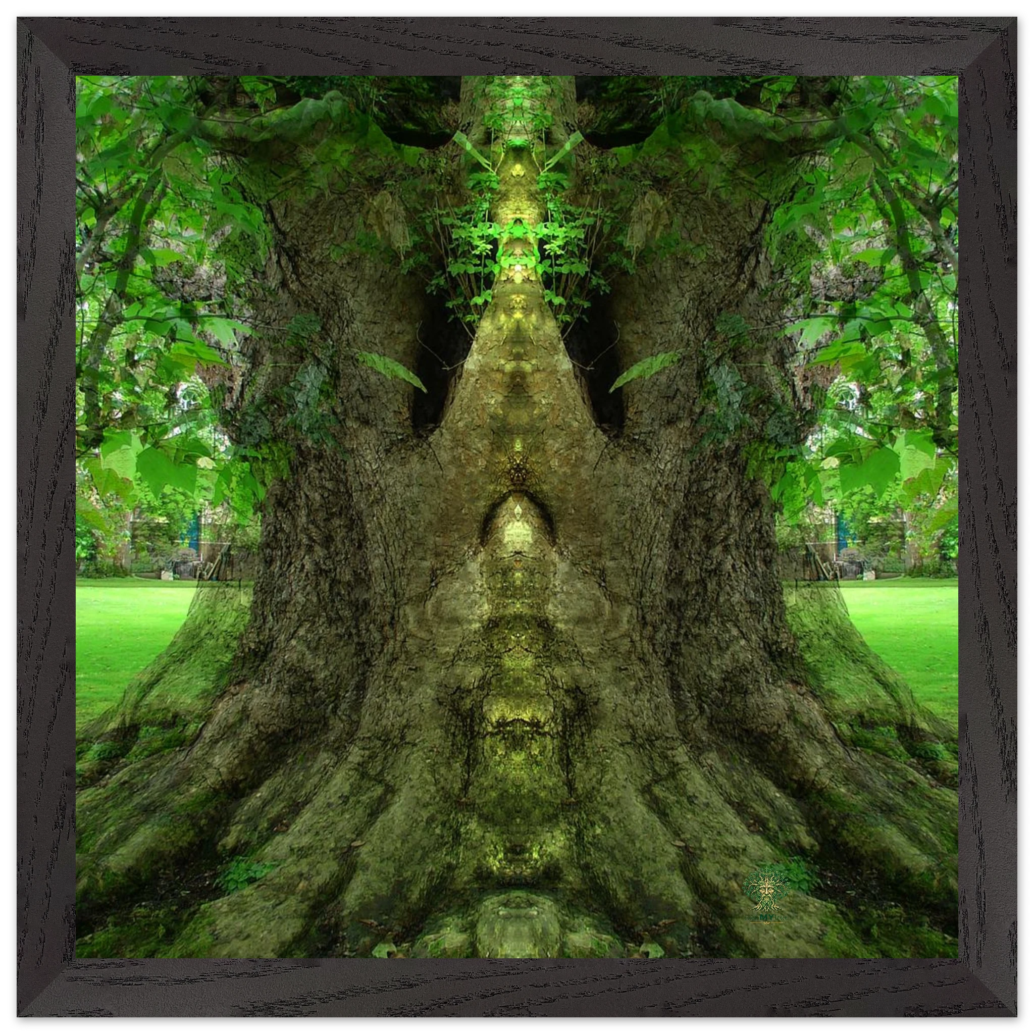 2f0d7b26-5f74-48ee-a5f5-2d7068de6d70