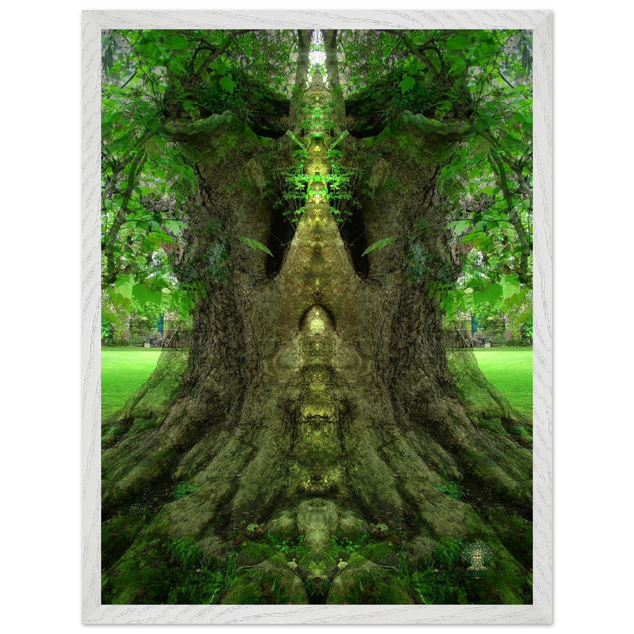 433359ca-0cd3-470d-9320-e61dbedbcedf