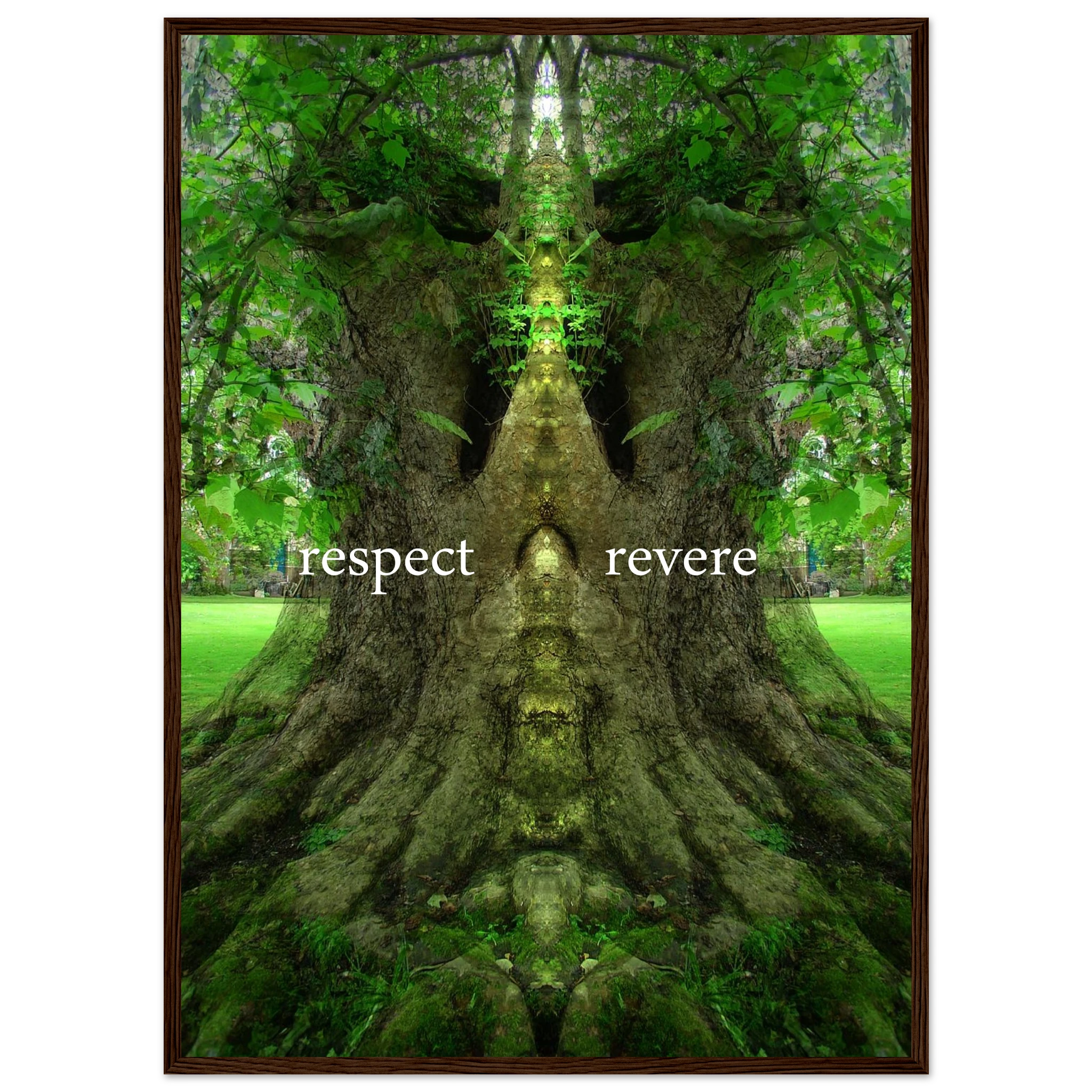 56296e78-3ce0-4ae9-a1a6-63a1fa650672