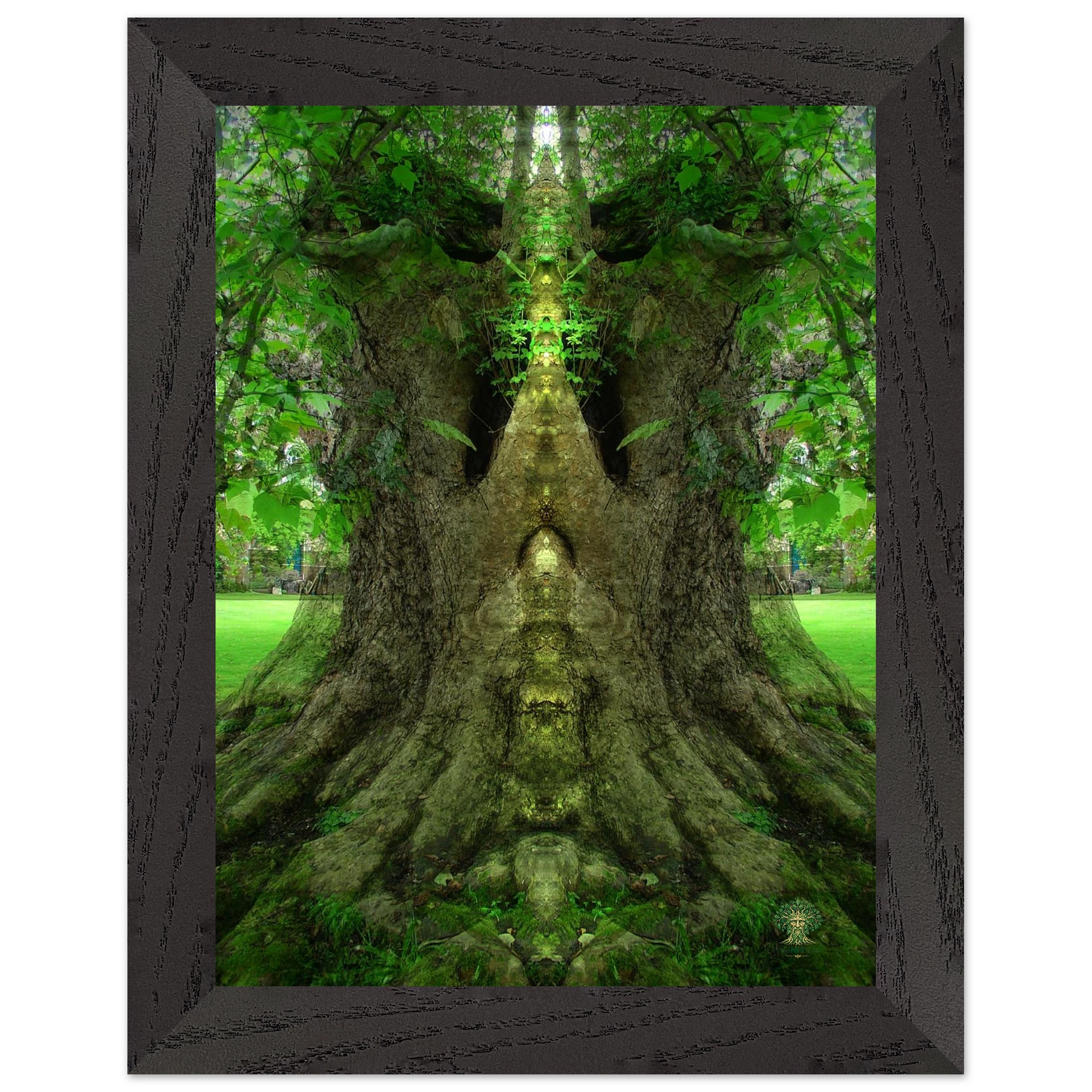 576cc0e2-76ec-4e41-8496-32a861bf50b0