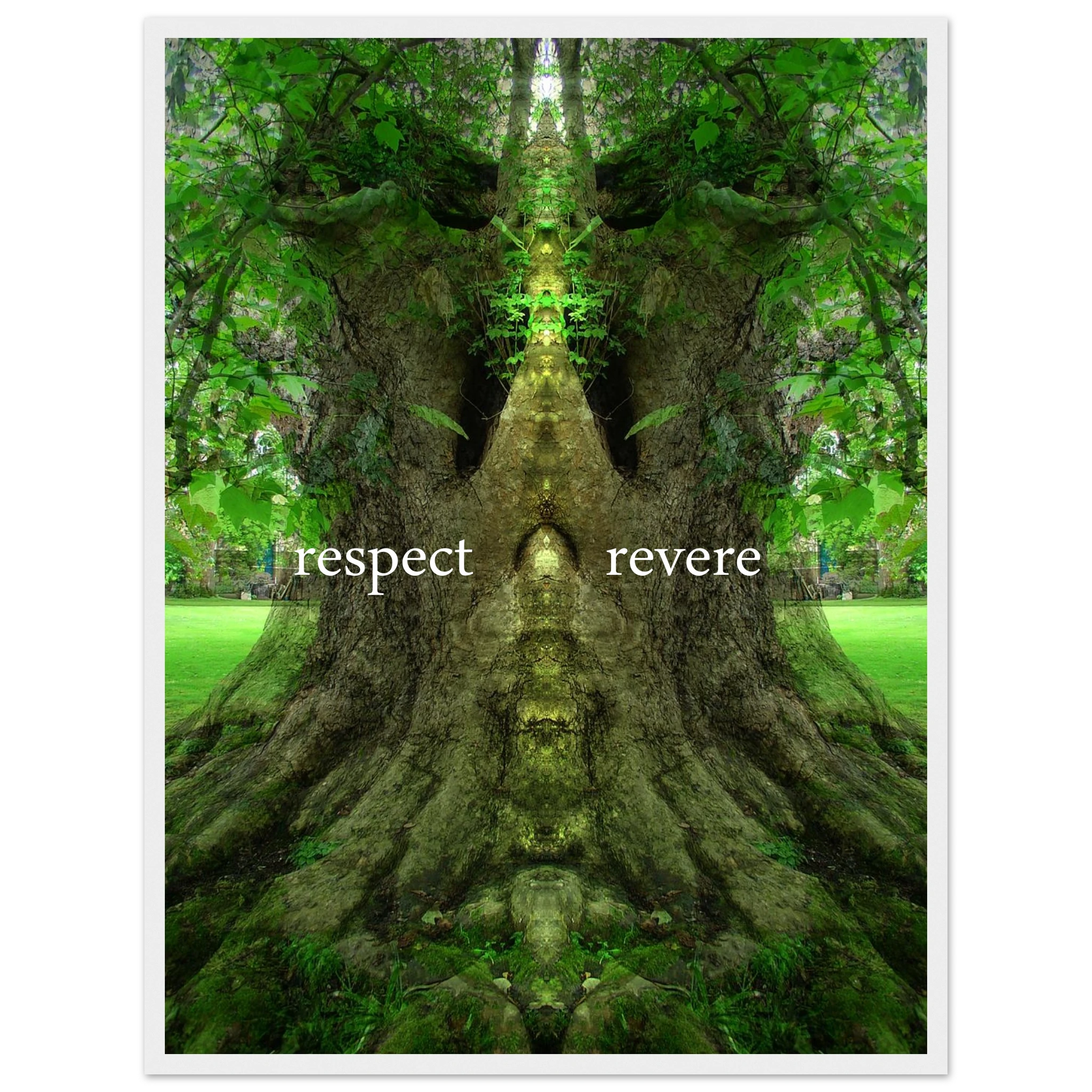 57ccf223-7e39-4980-ab75-f2a7bff13f7d