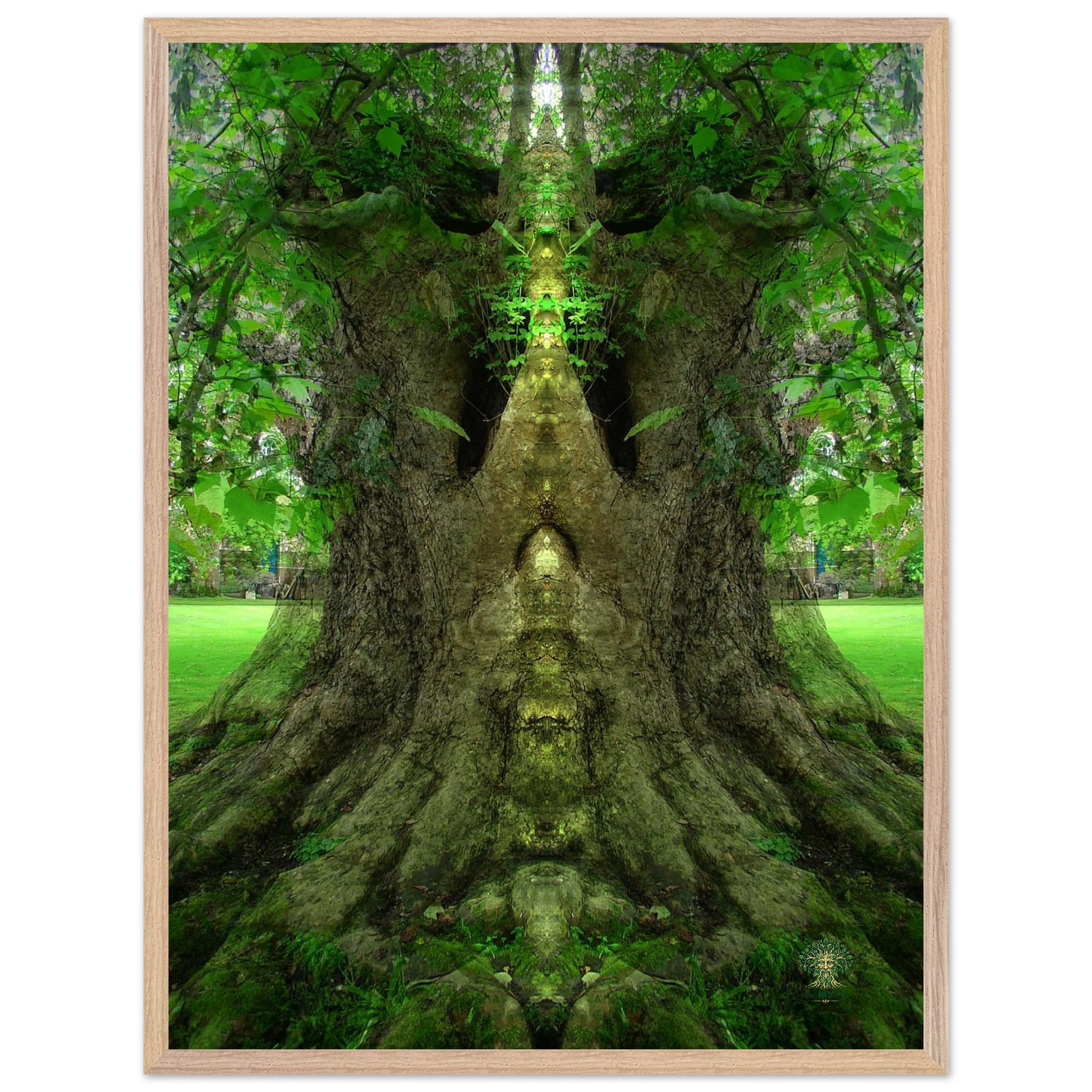610145d9-0fb2-4891-ab14-a19b78ca9b2b