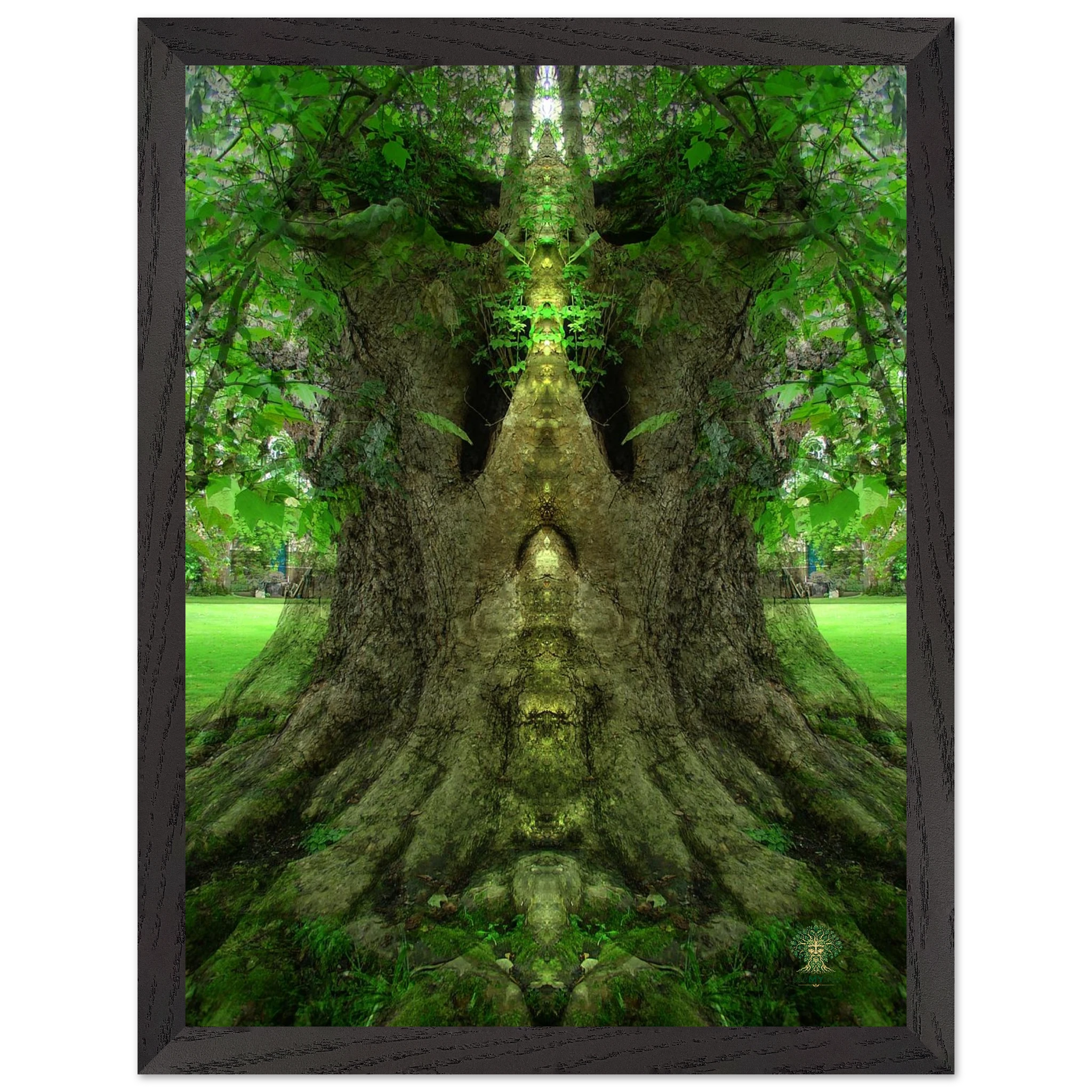 61af4003-eb6b-4394-87fa-416dd05d6458