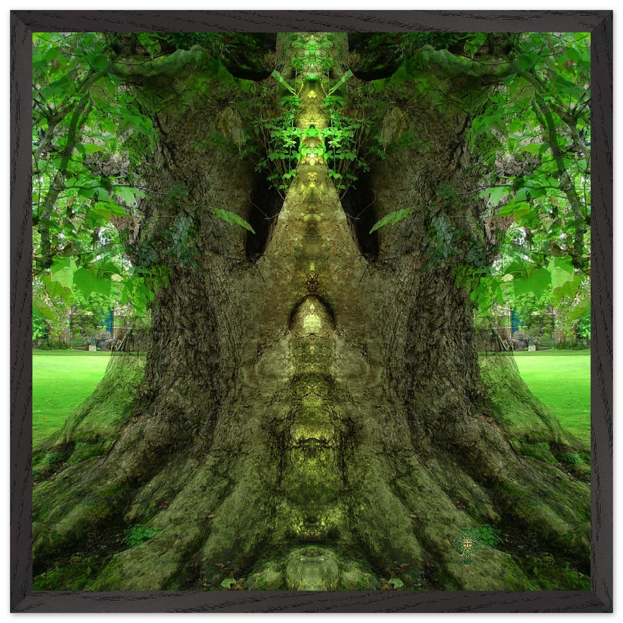 6427e1bc-e2d7-4e1e-862a-af81c732fdf4