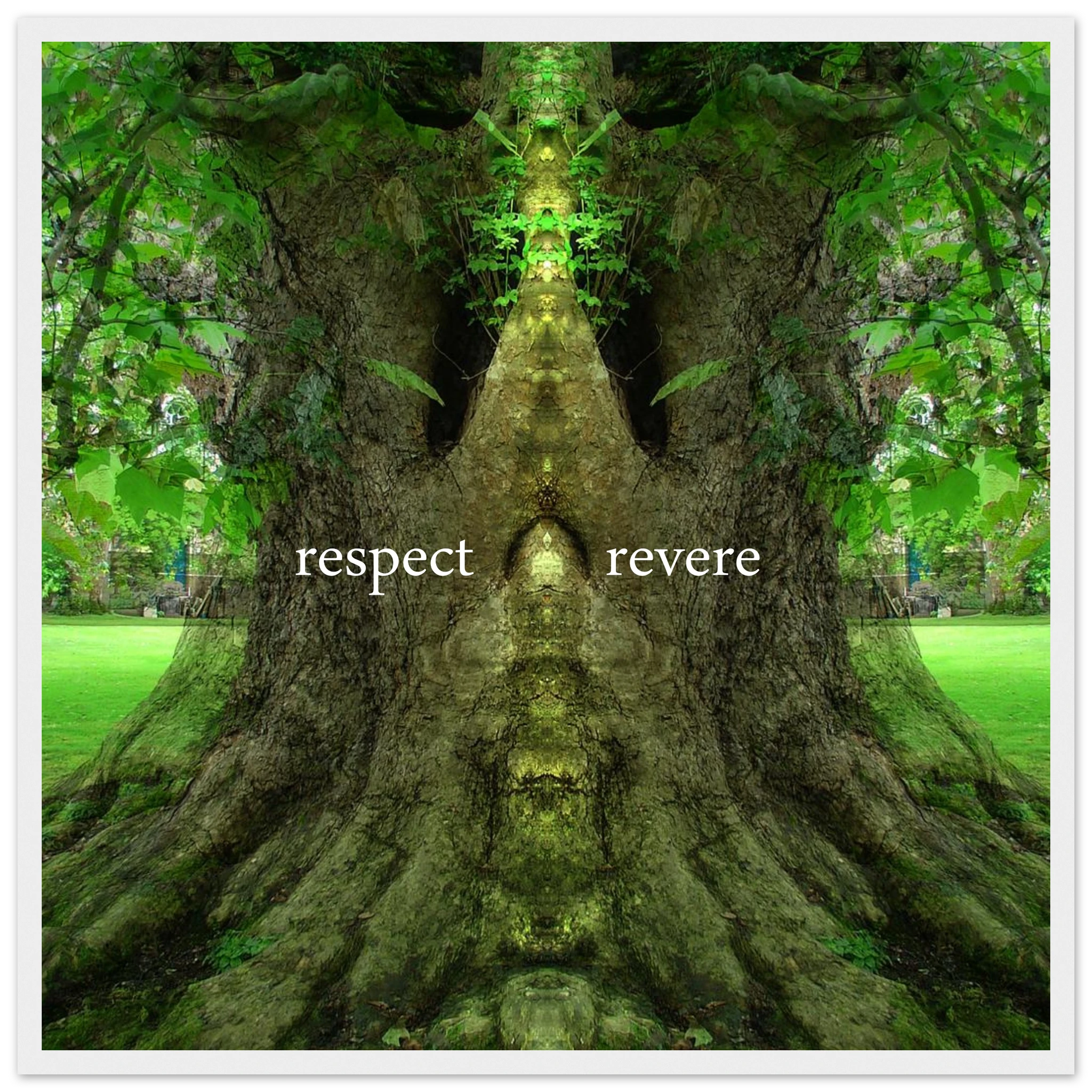 76207026-3cf9-4fb4-aad5-97f1140d84f0