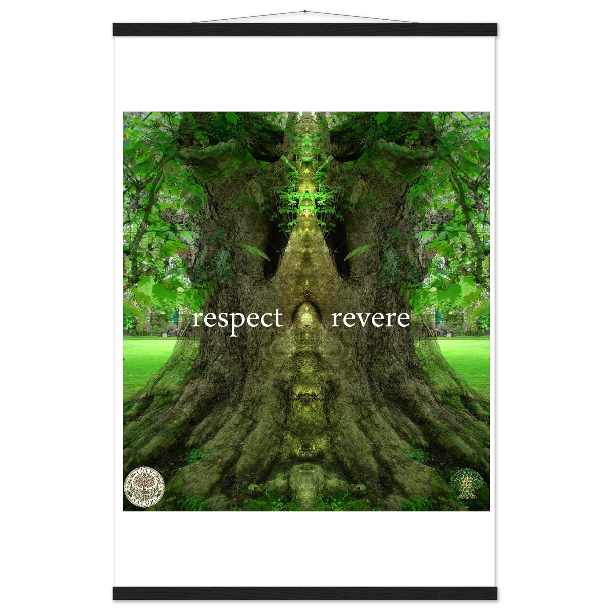 7ca435c8-c16b-43f0-9ff0-d418c39b7fa1