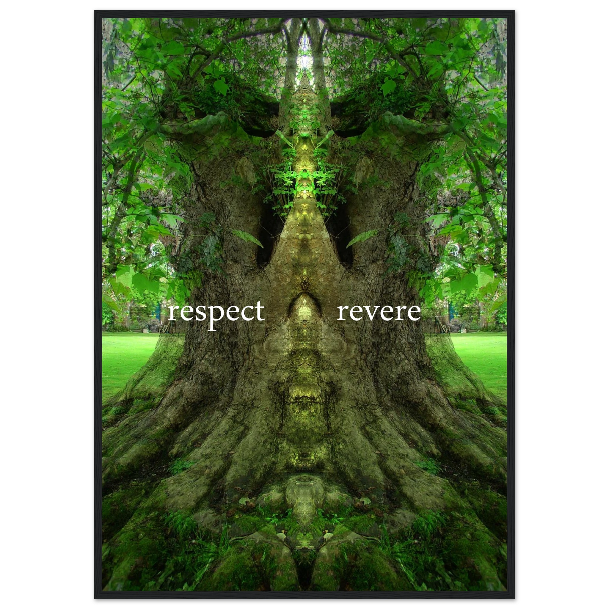 c50988e9-80d8-4c22-844e-8e264e5b91af