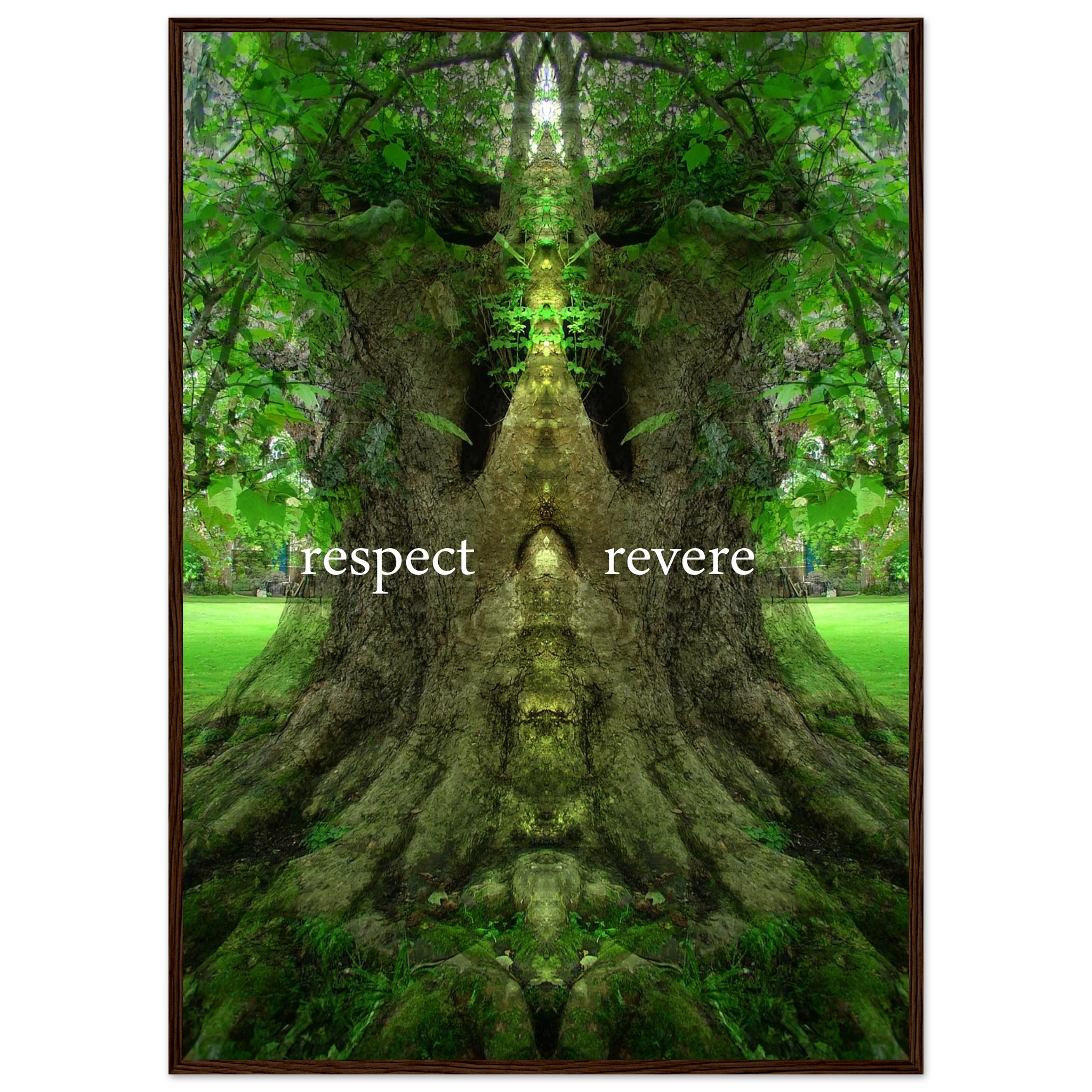 cbc5a310-ce6d-4042-a869-76af43066c75