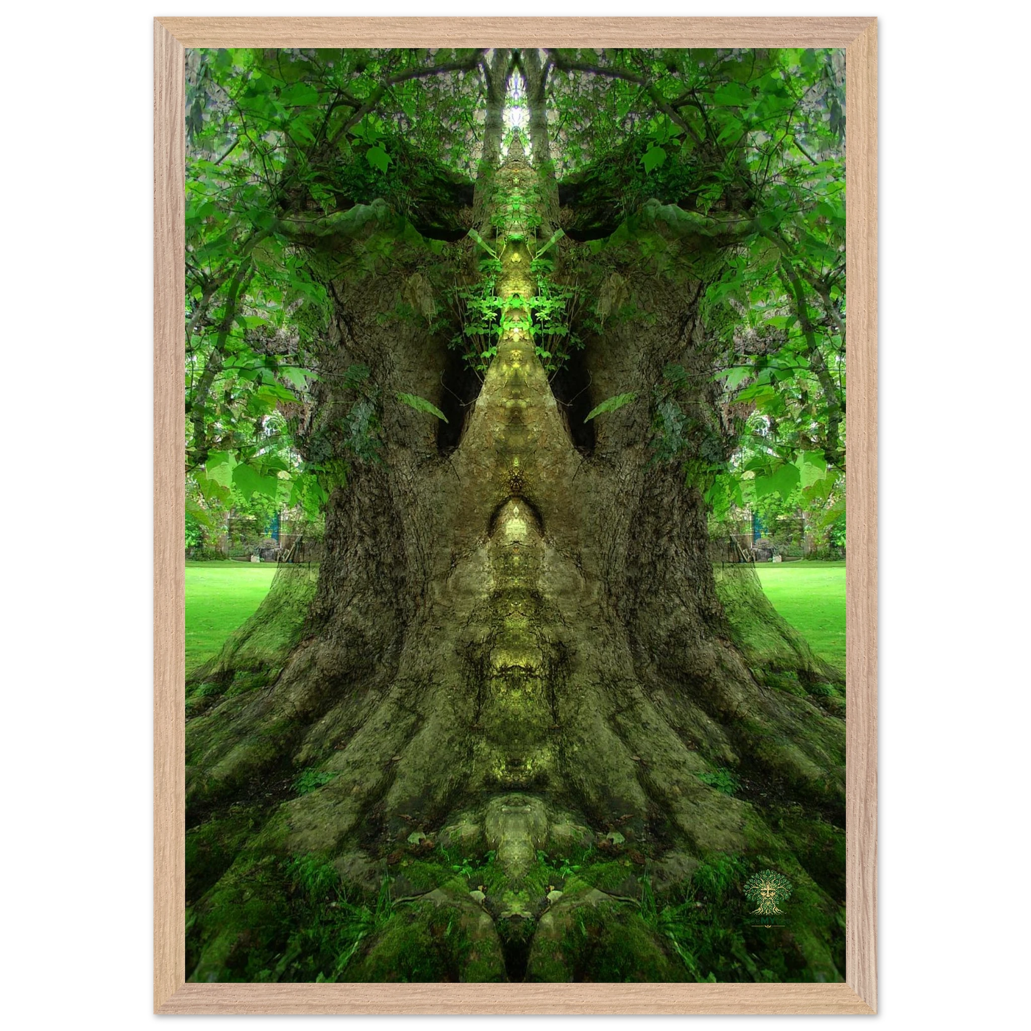 cc95d093-3e96-4fa7-a942-c8102b422b09