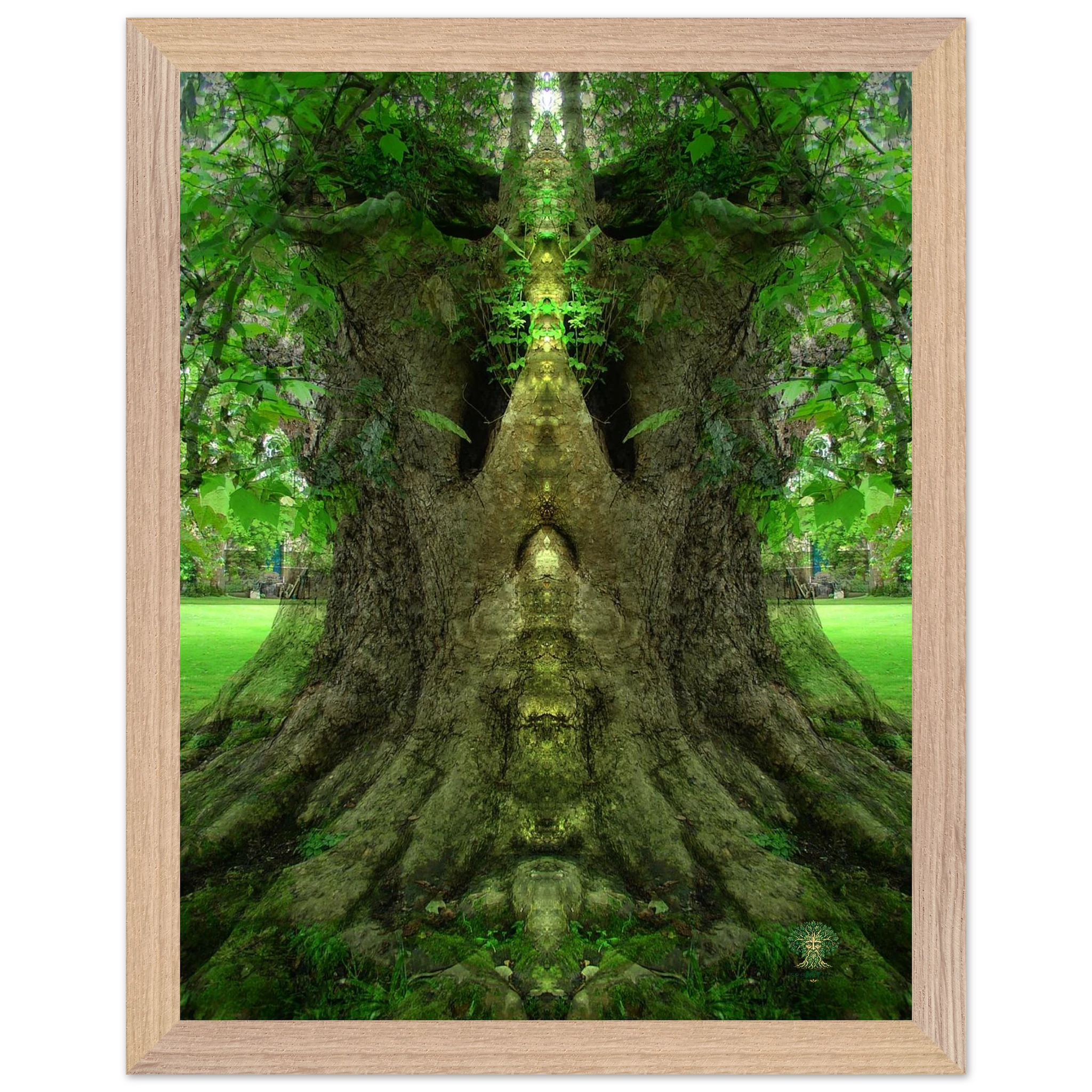 d0f9a98b-ef1b-4126-9f85-fbd4fcbf18a1
