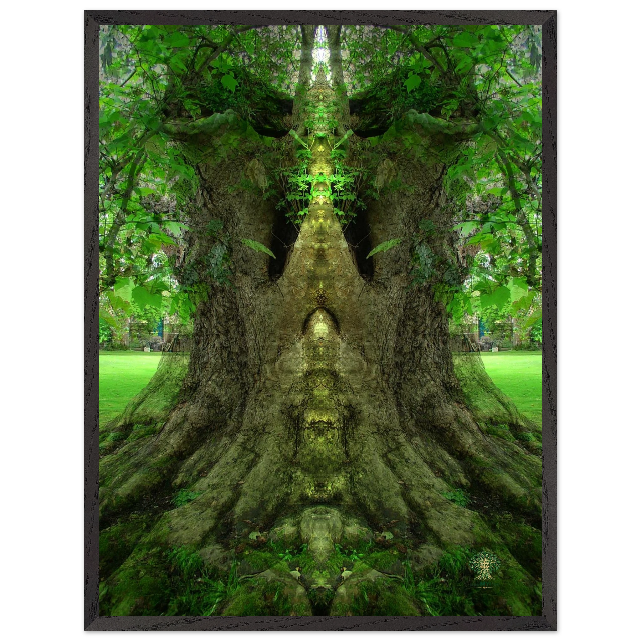 eb884e1c-3550-4ed2-8fc1-b20ff5a85de1