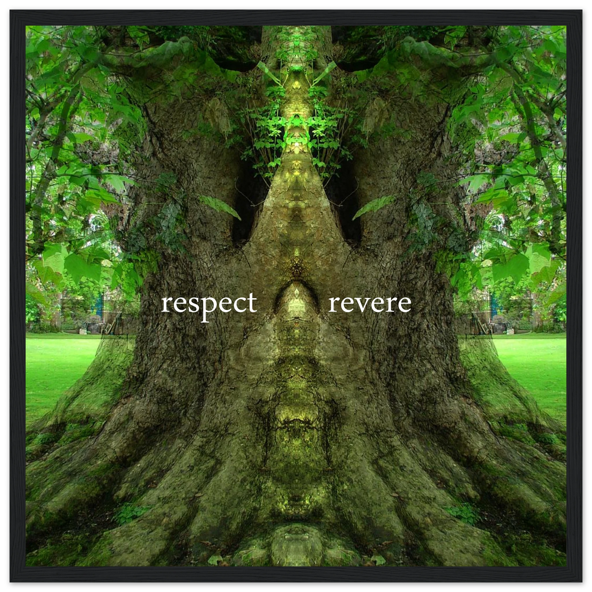 f004c3ae-1aa0-499c-9060-e536cf8d697c